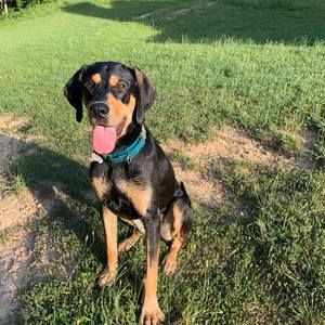 Meet your Posher, Alec